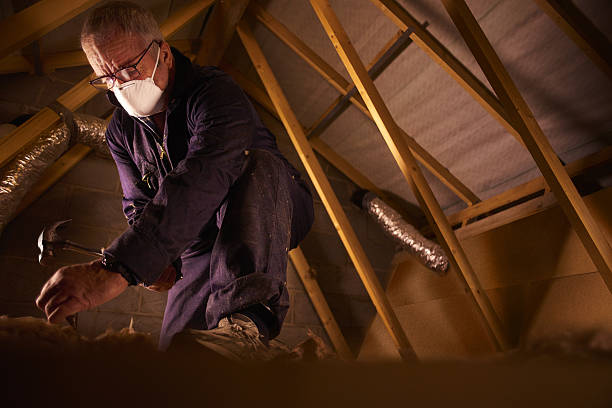 Insulation Repair Services in Soddy Daisy, TN